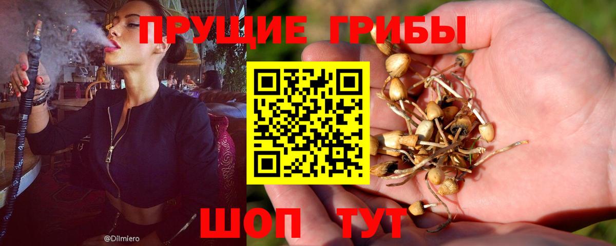 Галлюциногенные грибы прущие грибы Джанкой